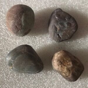 Set of Four Native American Efffigy tools polymorphic stone